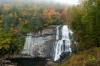 Photo for 5-10 Acre Tracts Franklin NC