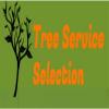 Photo for Tree Service Selection