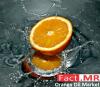 Photo for Orange Oil Market Forecast, Trend Analysis & Competition Tracking: Global Review 2017 to 2022