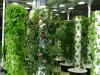 Photo for Vertical Farming Market Expecting an Outstanding Growth Till 2022