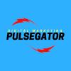 Photo for Pulsegator