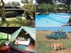 Photo for Short Safaris in Mombasa
