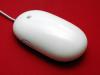 Photo for Computing Mouse Market estimated high revenue by 2022