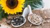 Photo for United States Sunflower Seeds Market Business Strategy  and Profile Report 2017- Radiant Insights, Inc