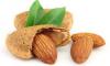 Photo for Almond Nut Market – Global Market Report 2017: Radiant Insights, Inc