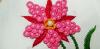 Photo for Patterns of Embroidery