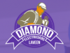 Photo for Diamond Electricians Laveen