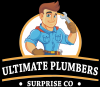 Photo for Ultimate Plumbers Surprise Co