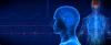 Photo for Intraoperative Neuromonitoring Market 2017 : Size, Trends, Analysis, Growth and Future Scenario Until 2025