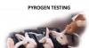 Photo for Pyrogen Testing Market Growth Outlook With Industry Review and Forecasts by 2025