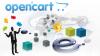 Photo for Why OpenCart Rules The Shopping Cart Development Arena