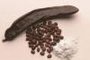 Photo for Carob Gum Market Gross Margin Analysis Report 2017: Radiant Insights, Inc