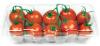 Photo for Active and Modified Atmospheric Packaging Market - Explores New Growth Opportunities By 2024