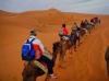 Photo for Morocco Sahara desert trip - Camel ride overnight desert camp