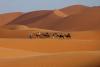 Photo for Morocco Luxury and budget Tours organiser,Imperial cities and sahara Desert tours,Casablanca,Marrakech,Fez,Merzouga
