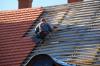 Photo for Bellevue Roofing Co. Inc.  •  (888) 348-5992  •  Roofing in Bellevue, WA