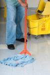 Photo for Executive Cleaning Service LLC  • (888) 619-0826  •  Commercial Cleaning in Huntington, NY
