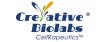 Photo for cd19 car t cells