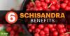 Photo for Schisandra Global Industry Report 2017 by Radiant Insights, Inc