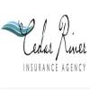 Photo for Cedar River Insurance