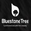 Photo for Bluestone Tree