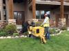 Photo for Low Stump Tree Service