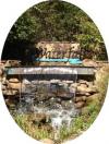 Photo for The Waterfall Subdivision in Irmo, SC