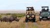 Photo for Masai Mara Safaris