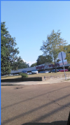 Photo for Piggly Wiggly - Canton