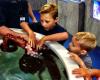 Photo for Austin Aquarium - Things To Do With Family In Austin