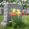 Photo for Brantley Funeral Home Inc.