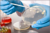 Photo for Sterility Testing Market - Global Industry Insights, Analysis and Forecast 2017-2024