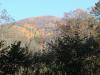 Photo for Greasy Creek Road, Murphy NC - Land For Sale