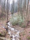 Photo for 140.7 Acres On Pendergrass Road - Land For Sale Murphy NC