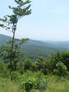 Photo for Land For Sale  Lot 70 Collins Court  Murphy NC    The Sanctuary