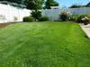 Photo for Mulch Better
