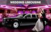 Photo for Long Island Limo Service