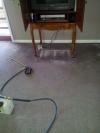 Photo for Busy Bee Cleans LLC