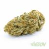 Photo for Bud Express Now - Buy Medical Marijuana online