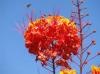 Photo for Professional Legal Services in Santa Clarita, California