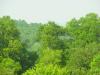 Photo for Lot for Sale   Murphy NC   Real Estate  Lot 27 Mystic Mountain Road
