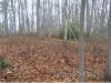 Photo for Fern Cove Pisgah Forest NC 28768 Vacant Land For Sale - Brevard NC Real Estate