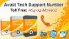 Photo for Avast Antivirus Support Phone Number +64-99710591