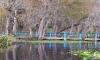 Photo for Holly Bluff Resort Houseboat - 3 days / 2 nights