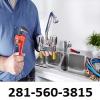 Photo for Toilet Repair Mission Bend TX