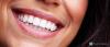 Photo for The Art of Dentistry