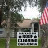 Photo for Black Off Pro Roof Cleaning LLC