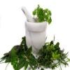 Photo for Global Palmetto Extracts Market New Tech Developments 2017