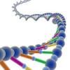Photo for Global DNA-Microarray for Agriculture Market Size Will Escalate Rapidly in the Near Future