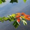 Photo for plenty of outdoor activities like hiking